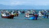 Phú Yên: Đẩy mạnh tuyên truyền, triển khai chống khai thác hải sản bất hợp pháp, không báo cáo và không theo quy định (IUU)